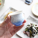 陶葊 花結晶 (白地赤青) 酒器 (3点セット)【京焼-清水焼】