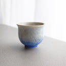 陶葊 花結晶 (白地赤青) 酒器 (3点セット)【京焼-清水焼】