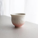 陶葊 花結晶 (白地赤青) 酒器 (3点セット)【京焼-清水焼】