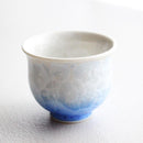 陶葊 花結晶 (白地赤青) 酒器 (3点セット)【京焼-清水焼】