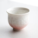 陶葊 花結晶 (白地赤青) 酒器 (3点セット)【京焼-清水焼】