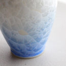陶葊 花結晶 (白地赤青) 酒器 (3点セット)【京焼-清水焼】