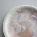 陶葊 花結晶 銘々皿 (5点セット)【京焼-清水焼】