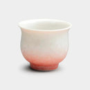 陶葊 花結晶 (白地赤青) 酒器 (3点セット)【京焼-清水焼】