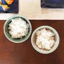 梅里窯 令和茶碗 (白唐津, 碧緑唐津)【大谷焼】