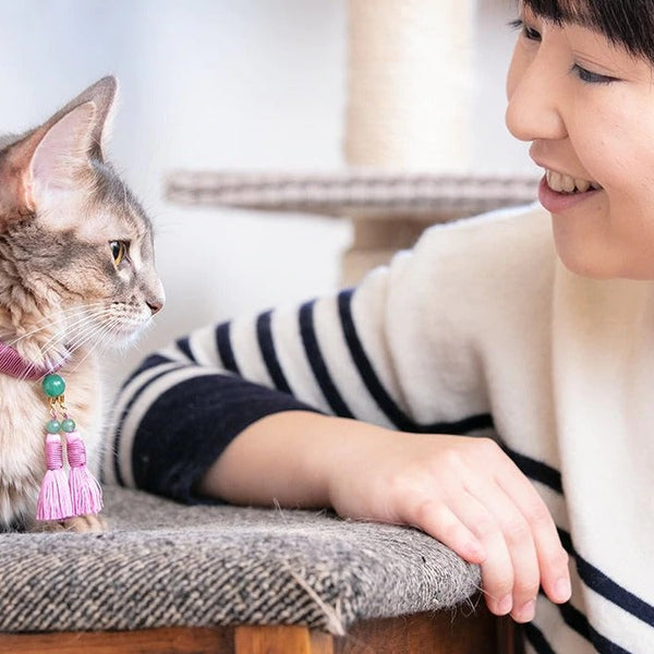 Japanese best Pet Accessories ARTISAN