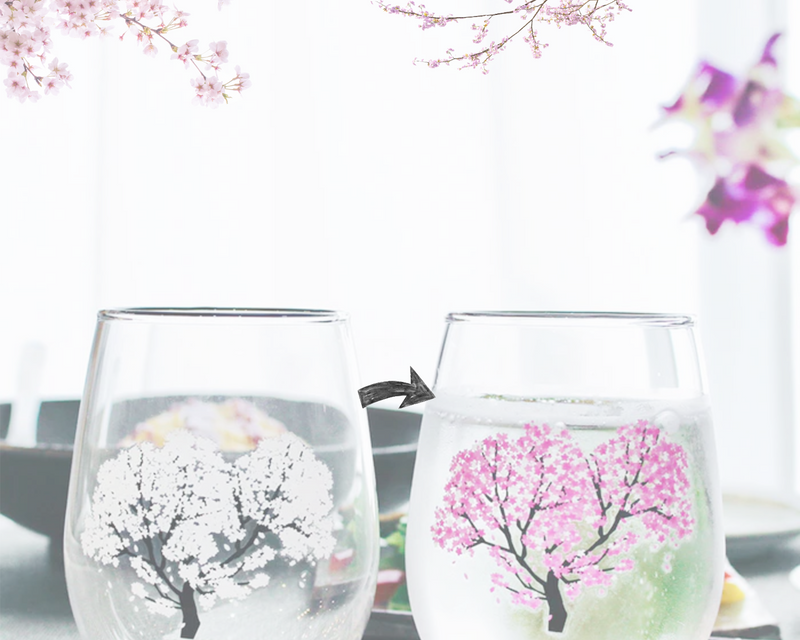 Buy NEWQZ Japanese Sake Set Traditional Cherry Blossom 1 Bottle