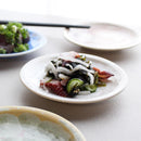 陶葊 花結晶 銘々皿 (5点セット)【京焼-清水焼】