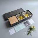 PENETRATION COLD TEA GLASS & COASTER (2 PIECES), Kanazawa Gold Leaf