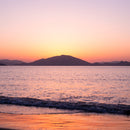 [Chopsticks] HASHIKURA SEASON01 Octagonal Wenge Pink (8.85inch) | MATSUKAN | Wakasa Lacquered Chopsticks