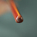 [Chopsticks] SAIBASHI Natural Urushi Coarting Dishwasher-safe (11.81inch) | MATSUKAN | Wakasa Lacquered Chopsticks