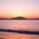 [Chopsticks and Chopstick Rest]  HASHIKURA SEASON01 Octagonal Wenge Pink (8.85inch) with Ceramic chopstick rest | MATSUKAN | Wakasa Lacquered Chopsticks