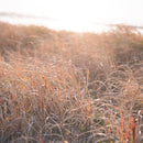 [Chopsticks and Chopstick Rest]  HASHIKURA SEASON01 Octagonal Wenge Pale Pink (8.85inch) with Ceramic chopstick rest | MATSUKAN | Wakasa Lacquered Chopsticks