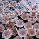 [Chopsticks and Chopstick Rest]  HASHIKURA SEASON01 Octagonal Wenge Purple (8.85inch) with Ceramic chopstick rest | MATSUKAN | Wakasa Lacquered Chopsticks