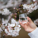 MAI 7 SMALL, Edo Kiriko Glass