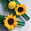 funew ワインボトル ハーフカット M グリーン【アップサイクル】