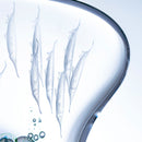 [GLASS FIGURINE] STRIPED SHRIMPFISH | GRAVURE SCULPTURE | KAGAMI CRYSTAL