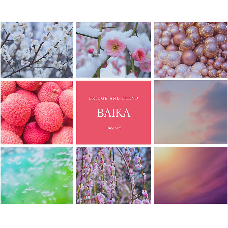 [Incense Corns] BAIKA JAPANESE PLUM (20Corns) | SCENT of JAPAN | Bridge and Blend