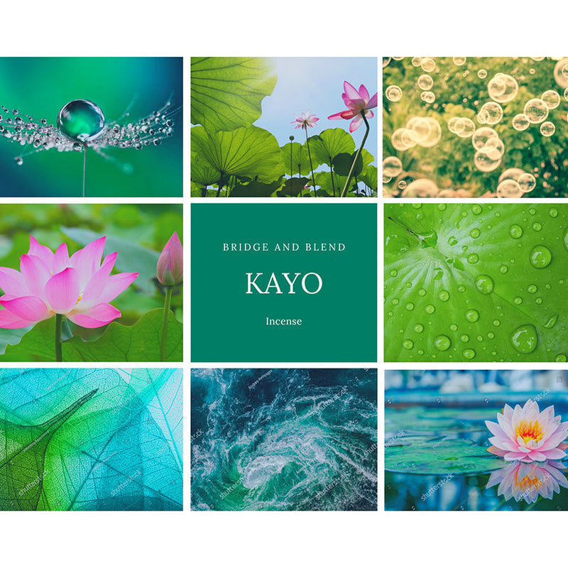 [Incense Corns] KAYO LOTUS FLOWER (20Corns)  | SCENT of JAPAN | Bridge and Blend