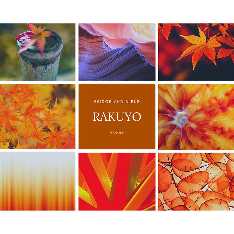 [Incense Corns] RAKUYO LEAF-FALL (20Corns)  | SCENT of JAPAN | Bridge and Blend