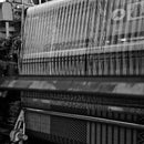 イケヒコ い草ラグ カロン 黄 (M : 190×250cm, L : 190×300cm)【い草-畳】