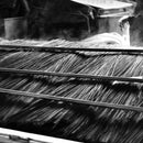 RUSH RUG PHALAENOPSIS RED, Tatami Rug