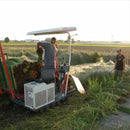 イケヒコ い草ヨガマット アース 青 (60×180cm)【い草-畳】