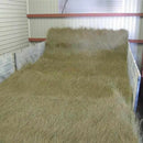 イケヒコ い草ラグ 胡蝶蘭 紫 (M : 200×200cm, L : 200×250cm)【い草-畳】