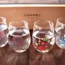 SHUN JAPAN FOUR SEASONS MAGIC (4 PIECES), Glass, Mino Ware