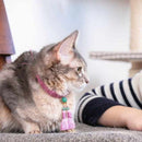 NECKLACE FOR CATS (COLLAR) HEIAN, Pet Supply, Kyoto buddhist beads