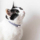 CAT NECKLACE & EARRINGS SET GINKAKU, Pet Supply, Kyoto buddhist beads