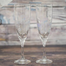 丸モ高木 冷感 花火 シャンパングラス ペアセット【美濃焼】