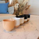 =K+ BEAK BOWL ボウル (5点セット)【京焼-清水焼】