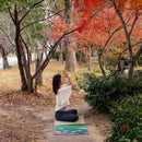 イケヒコ い草ヨガマット SAKURA富士 (60×180cm)【い草-畳】