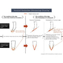 本刃付け | 堺打刃物【包丁】