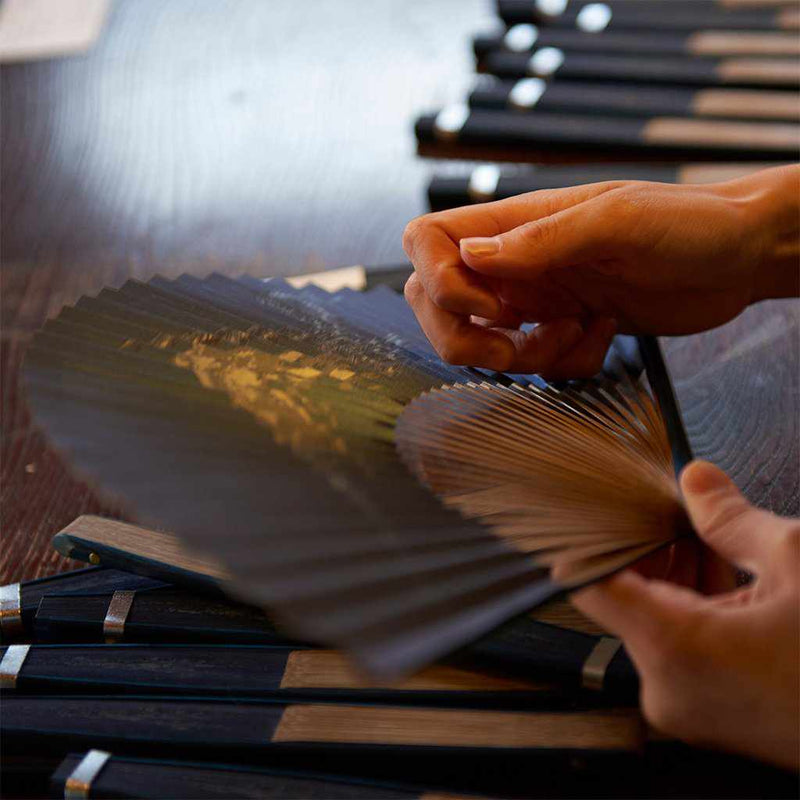 A DRAGONFLY PLAYING IN A MAN'S PAPER FAN FIELD, Hand Fan, Kyoto Folding Fans