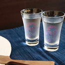 HANABI (FIREWORKS) MAGIC (2 PIECES), Glass, Mino Ware