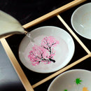 9 PIECES SET SHUN JAPAN JAPANESE TRADITION MAGIC, Sake Cup, Mino Ware