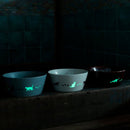 CAT 5.11-inch LUMINOUS BOWL ((MATTE LIGHT GRAY) | MINO WARES | Marumo Takagi