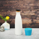 IONBOTTLE CANDY (WHITE), Water Bottle, Shigaraki Ware