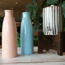 IONBOTTLE CANDY (BLUE), Water Bottle, Shigaraki Ware