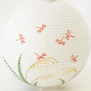 DRAGONFLY, Letter Lantern, Gifu Chochin