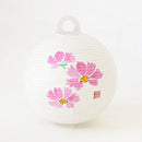 レター提灯 コスモス【岐阜提灯】