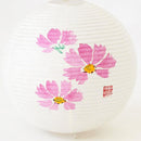 レター提灯 コスモス【岐阜提灯】