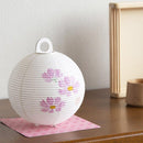 レター提灯 コスモス【岐阜提灯】