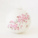 レター提灯 桜【岐阜提灯】