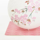 レター提灯 桜【岐阜提灯】