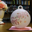 レター提灯 桜【岐阜提灯】